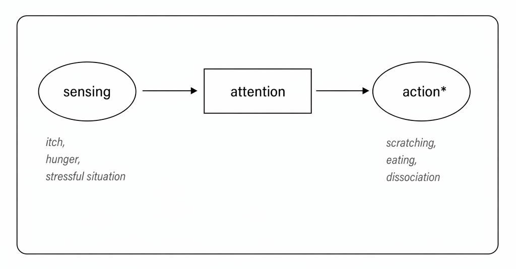 Sensing leads to attention leads to action