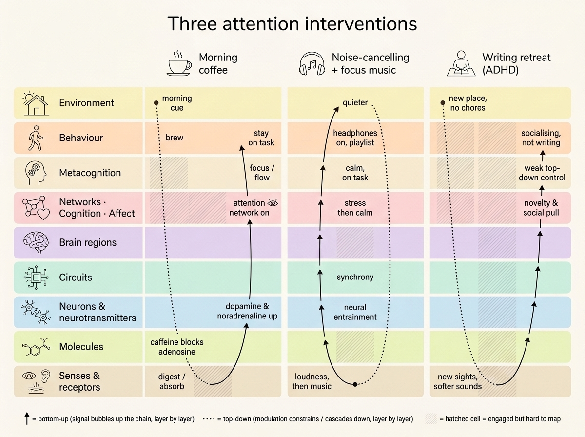 Three attention interventions traced across the layer stack