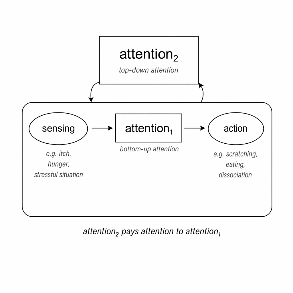 attention pays attention to attention